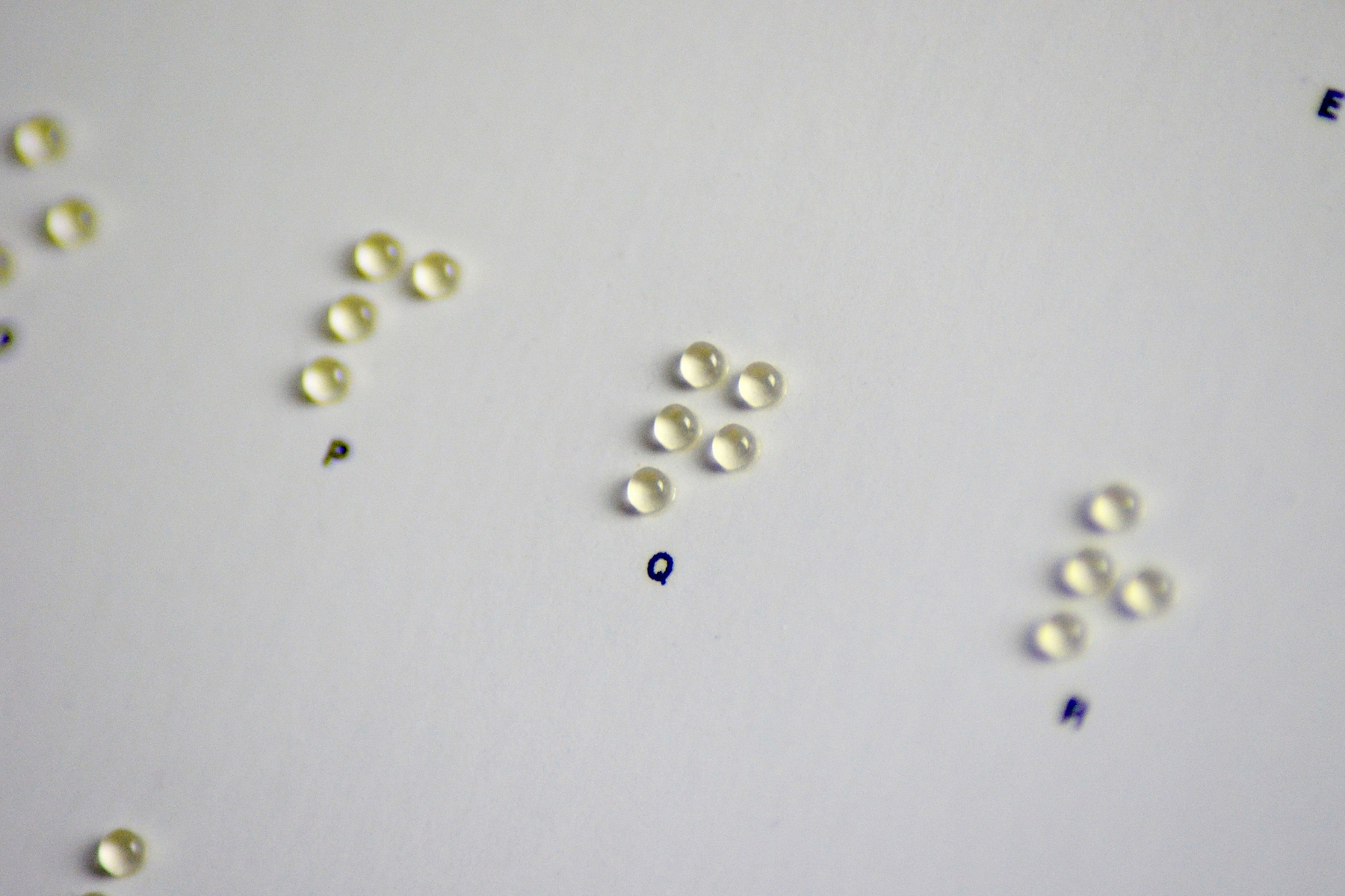 Mimaki digitally printed Braille