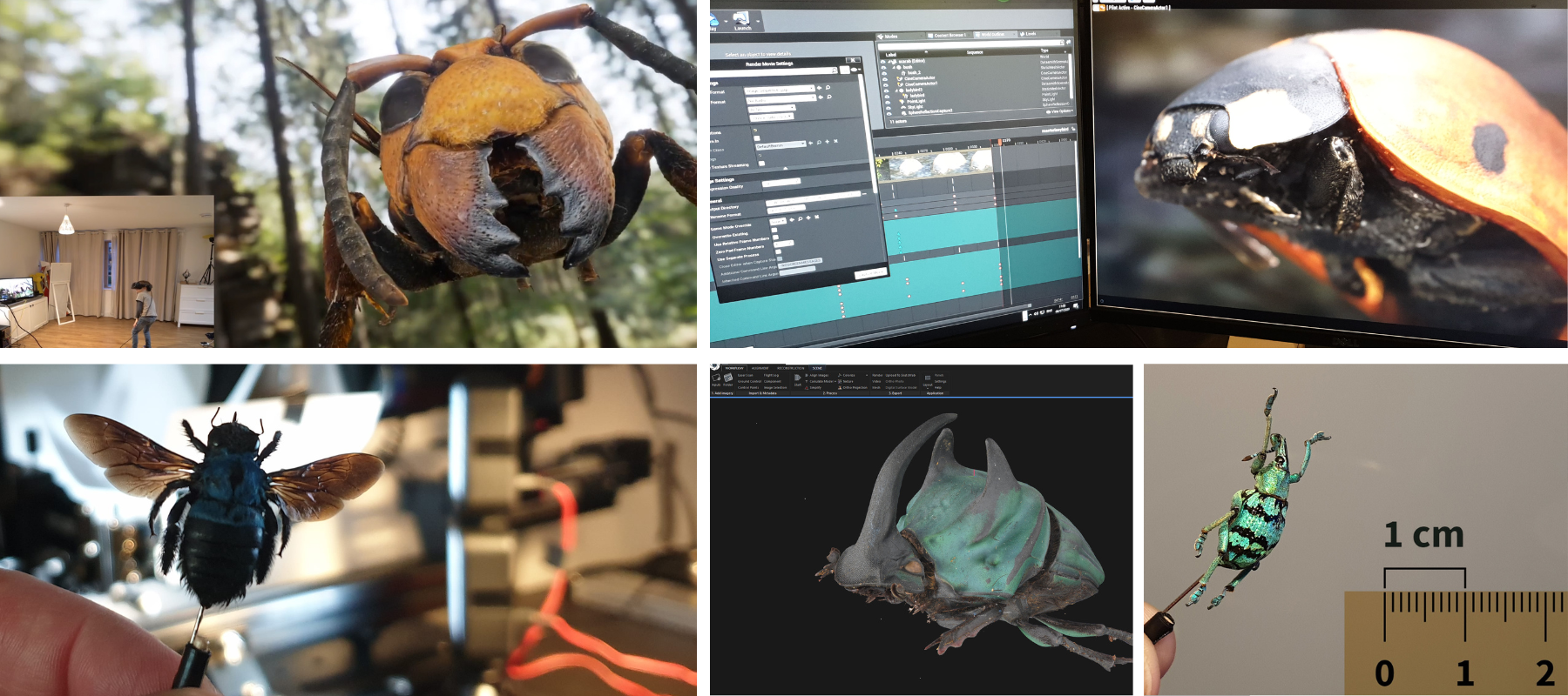 Process of macro scanning small insects and scaling them larger without losing quality